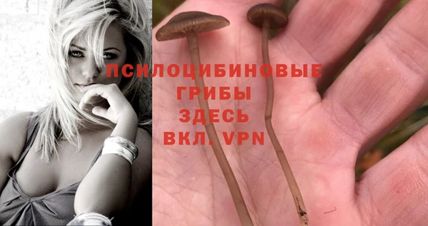 прущий лед Лабытнанги