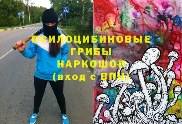 бутират Лагань