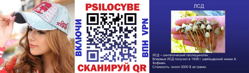 KRAKEN   Медвежьегорск  Галлюциногенные грибы мухоморы 